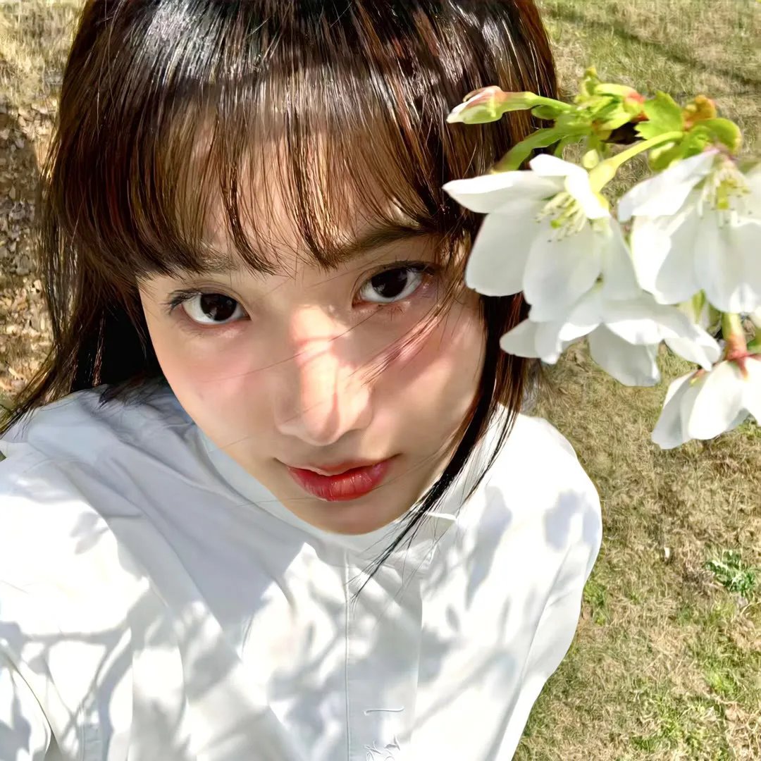 迷粉爱墙