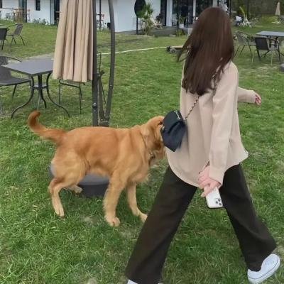 每天死亡的男人